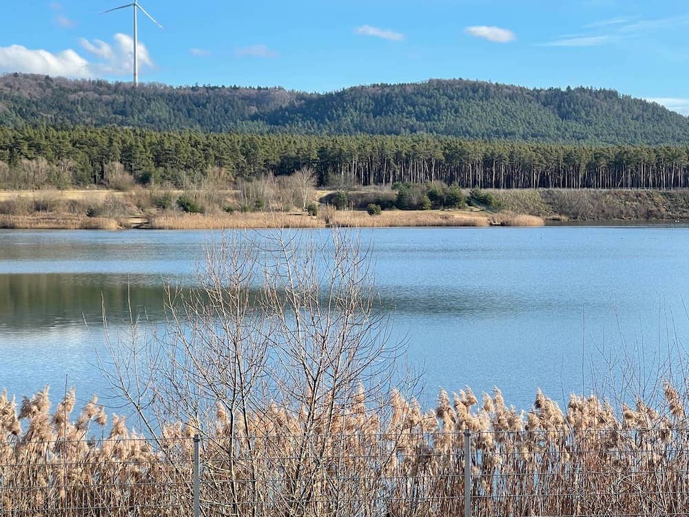Baderweiher unmittelbar bei Sengenthal