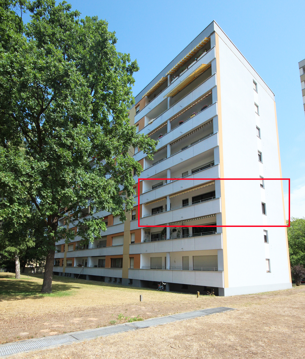 NBG-SIED
