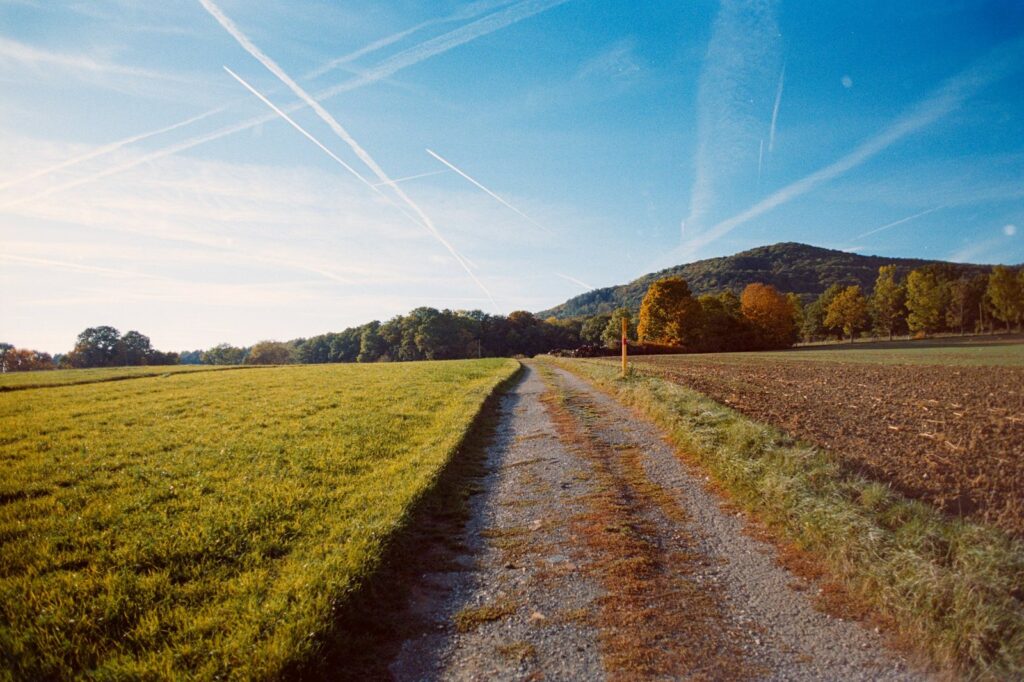 Feldweg zwischen Wiesen und Äckern