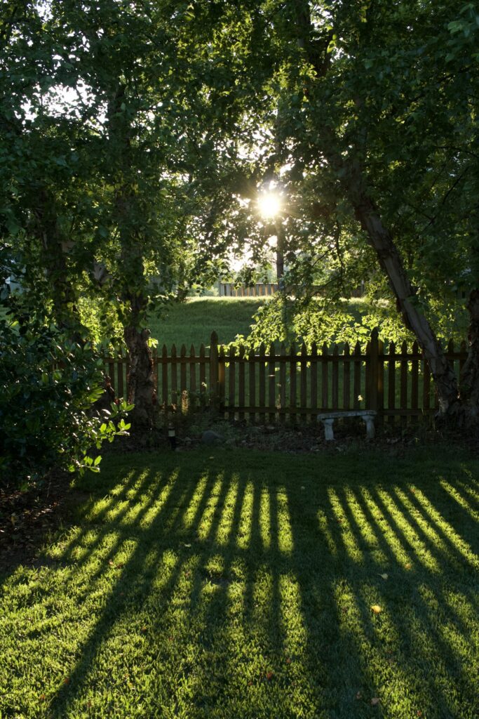 Garten im Abendlicht
