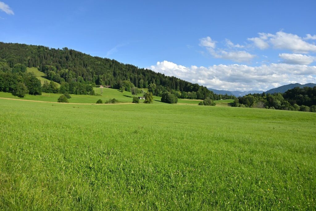 Was ist meine Immobilie wert in Feucht